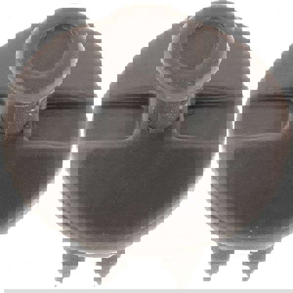 Nylon Automotive Rivets-Push Mount